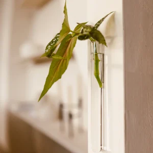 Vases magnétiques transparent - Walleaf ( 6 pièces )