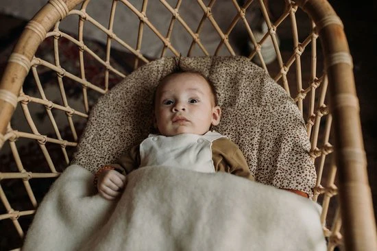 Alwero - Couverture ébranlée – Image 5