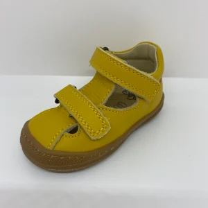 7401244 - MBBFlexEté