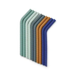 Pailles en silicone Jonas- Lot de 10