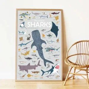 Les Requins - Poster & Stickers repositionnables