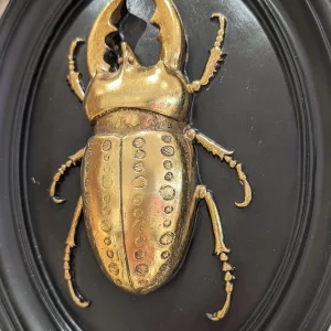 Décoration Murale - Lucane Noir