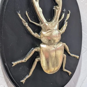 Décoration Murale - Lucane Noir