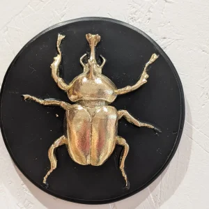 Décoration Murale - Scarabée Noir PM