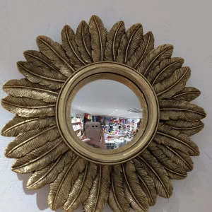 Miroir - Plumes