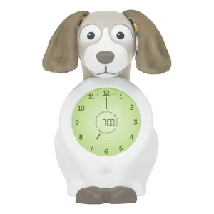 Zazu - Entraîneur au sommeil - Davy le chien